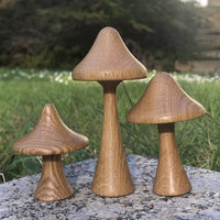 Handcrafted Wooden Mushrooms-set of 3- Steiner wood turned wood mushroom - Made in Australia