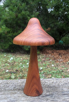 Handcrafted Blackwood Wooden Mushroom-woodturned- Steiner wood turned mushroom sculpture - Handmade in Australia