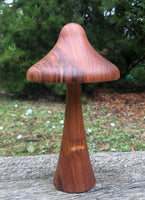 Handcrafted Blackwood Wooden Mushroom-woodturned- Steiner wood turned mushroom sculpture - Handmade in Australia