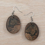 Hedgehog / Echidna / Porcupine Natural Banksia seed pods-native Wooden earrings-made in Melbourne Australia-hypoallergenic