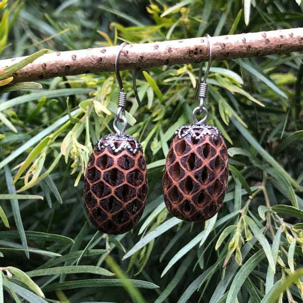 Natural Wooden Earrings - Tasmanian She-oak Seed Pod - Wood turned- Made in Melbourne