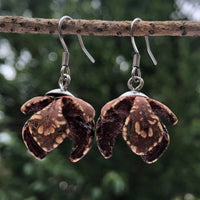 Natural Seed Pods- Australian Wooden earrings-made in Melbourne Australia-hypoallergenic