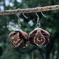 Natural Seed Pods- Australian Wooden earrings-made in Melbourne Australia-hypoallergenic