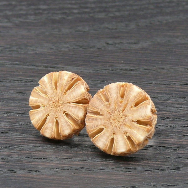 Sheoak Wooden Studs- Star Wood Round Natural Circle Sustainable Ethical Earrings - Jewellery Handmade in Melbourne Australia - Hypoallergenic Stainless Steel